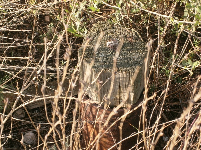 Lot 3 Naidia Road, Swan Reach SA 5354