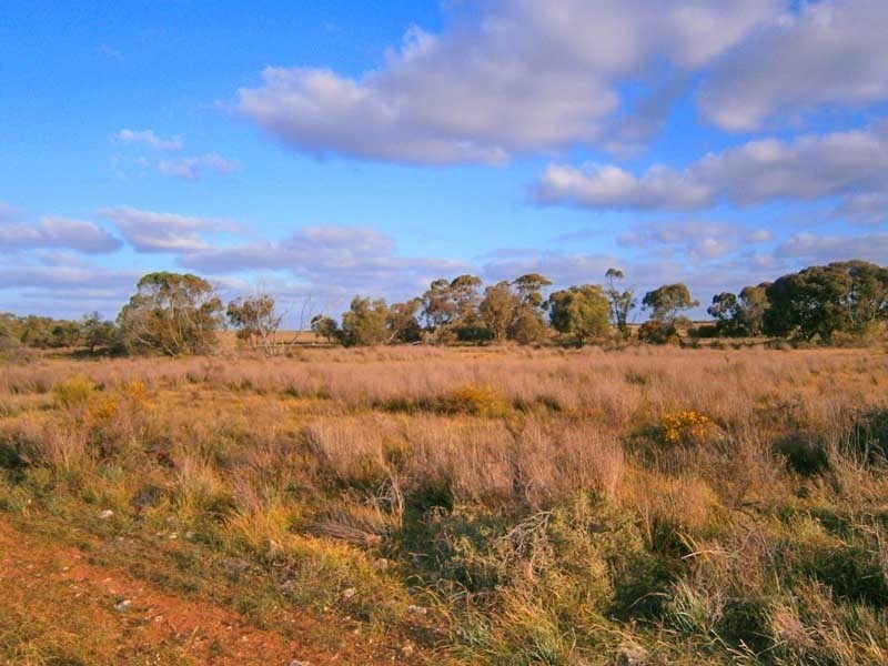 Lot 3 Naidia Road, Swan Reach SA 5354