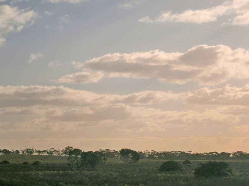 Lot 3 Naidia Road, Swan Reach SA 5354