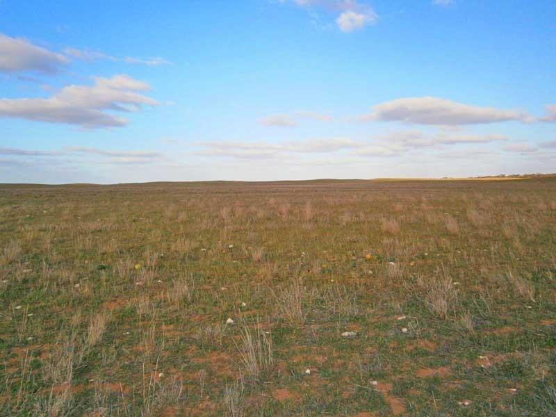 Lot 3 Naidia Road, Swan Reach SA 5354