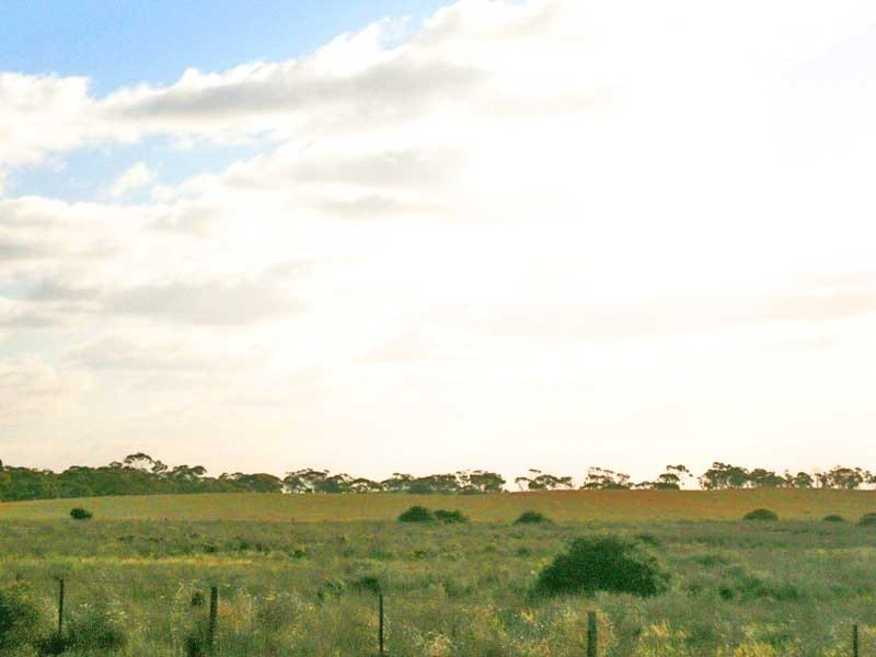 Lot 3 Naidia Road, Swan Reach SA 5354