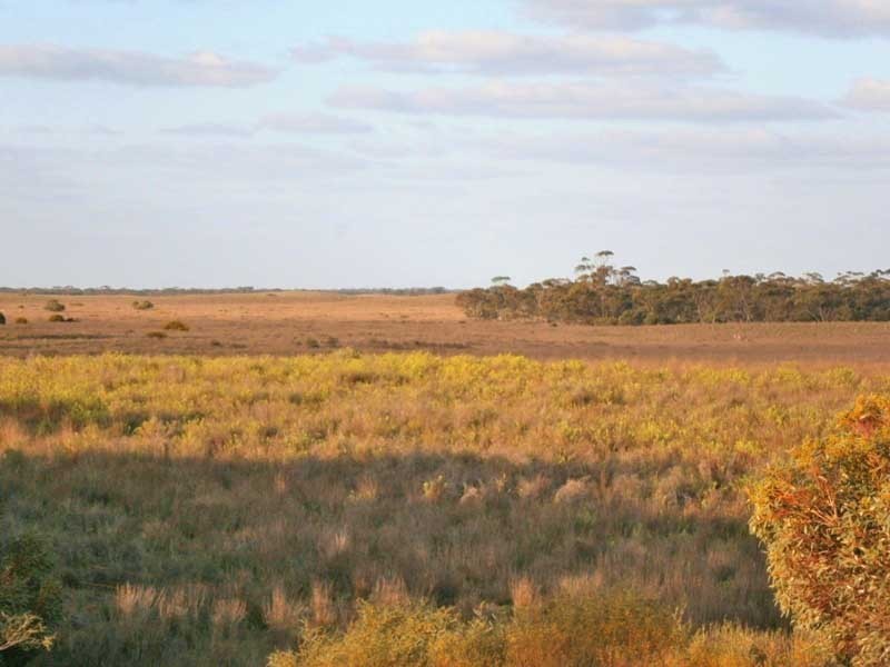 Lot 3 Naidia Road, Swan Reach SA 5354