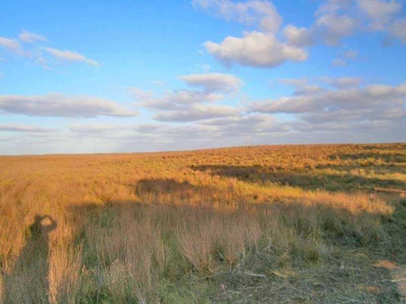 Lot 3 Naidia Road, Swan Reach SA 5354