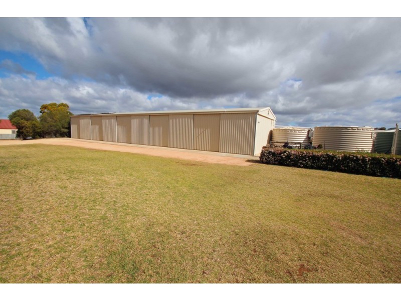 19 Moss Road, Berri SA 5343