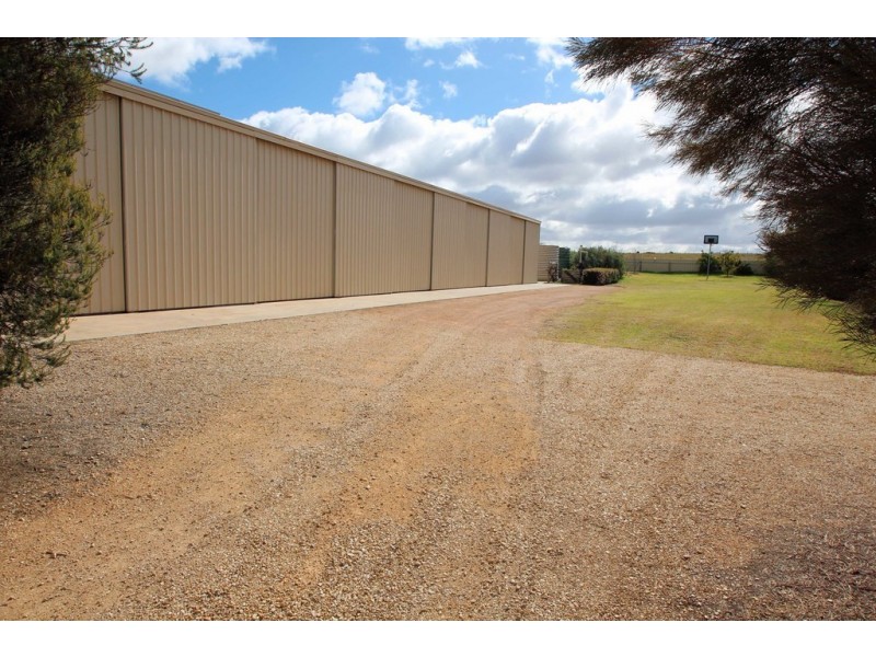 19 Moss Road, Berri SA 5343