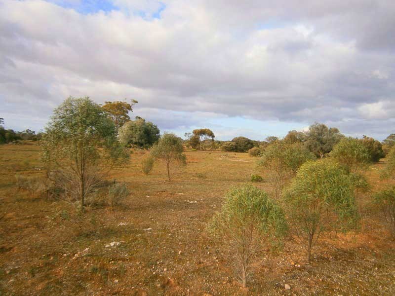 Section 208 and 209 Stott Highway, Swan Reach SA 5354