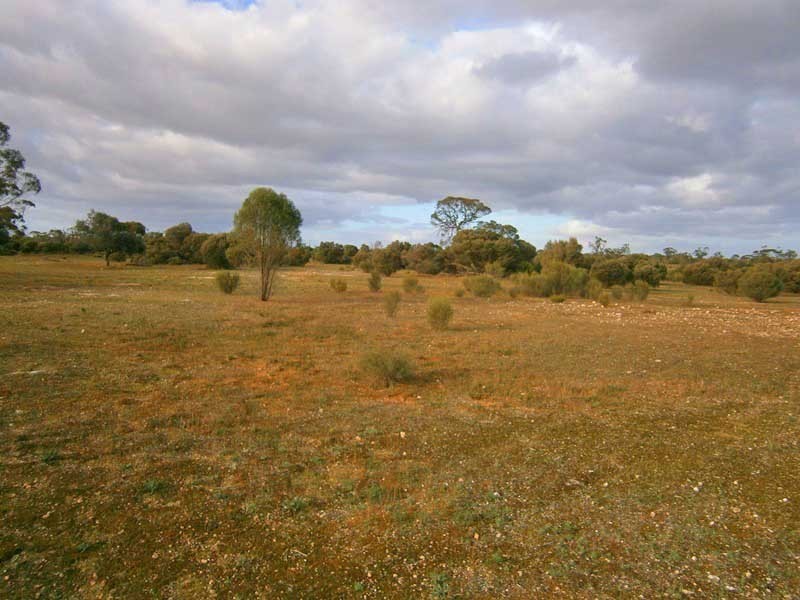 Section 208 and 209 Stott Highway, Swan Reach SA 5354