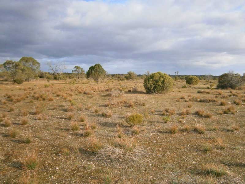 Section 208 and 209 Stott Highway, Swan Reach SA 5354