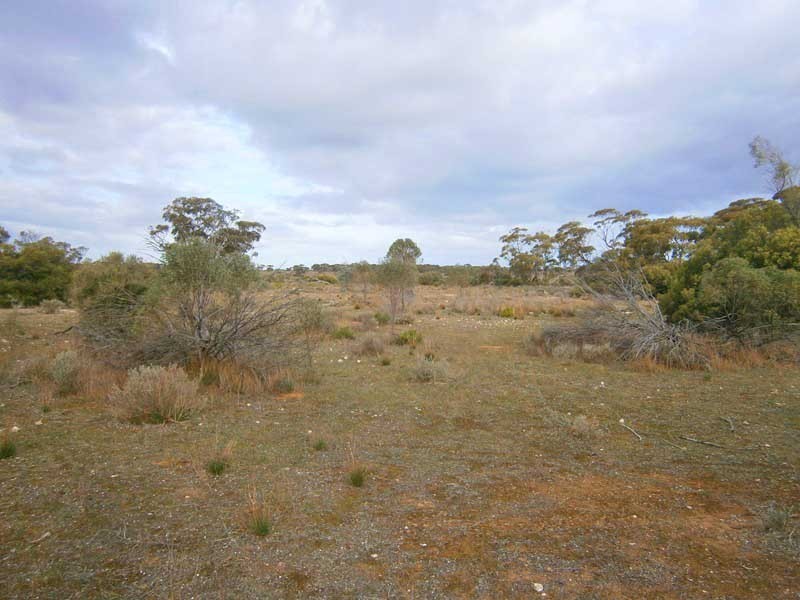 Section 208 and 209 Stott Highway, Swan Reach SA 5354