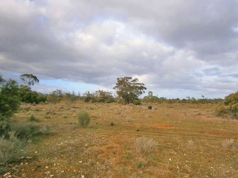 Section 208 and 209 Stott Highway, Swan Reach SA 5354