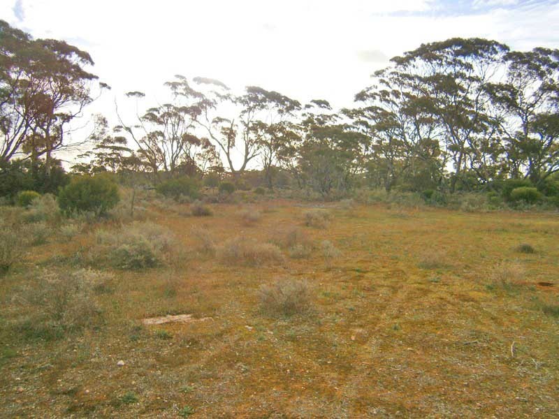 Section 208 and 209 Stott Highway, Swan Reach SA 5354