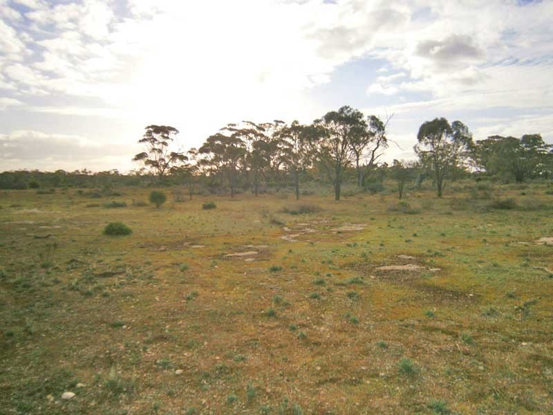 Section 208 and 209 Stott Highway, Swan Reach SA 5354