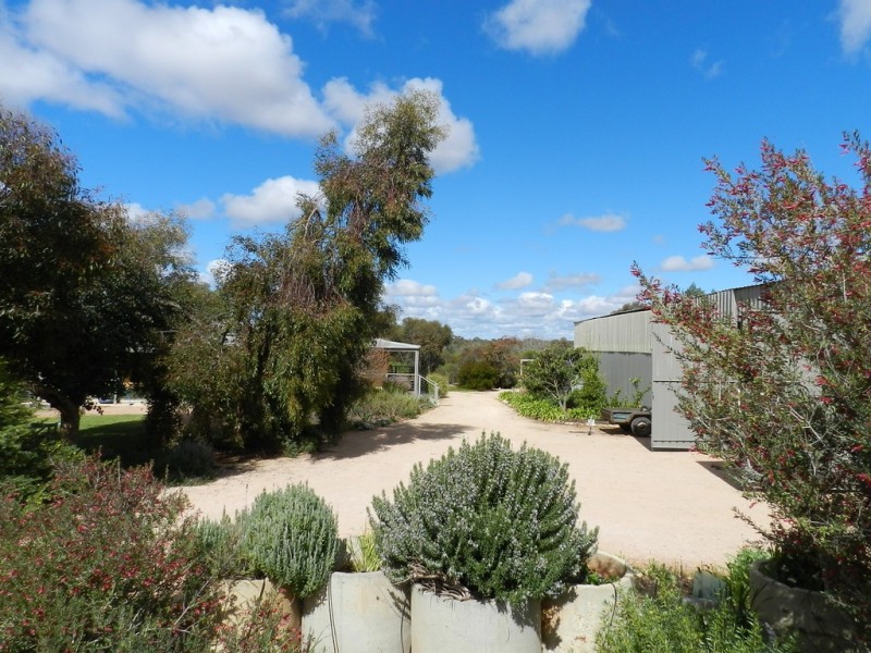 326 Gordon Road, Barmera SA 5345