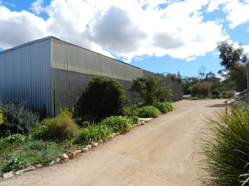 326 Gordon Road, Barmera SA 5345