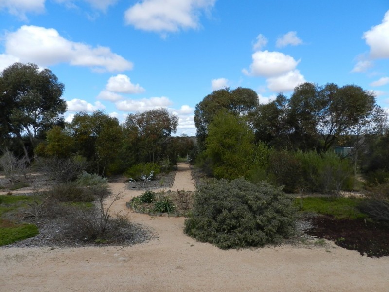 326 Gordon Road, Barmera SA 5345