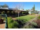 186 Thurk Street, Renmark SA 5341