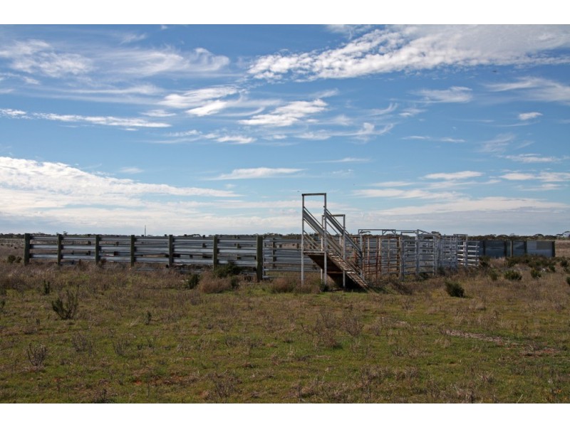 Section 2 Hundred of Allen, Caliph SA 5310