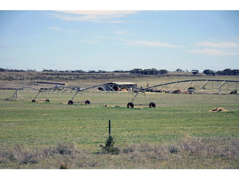 Section 2 Hundred of Allen, Caliph SA 5310