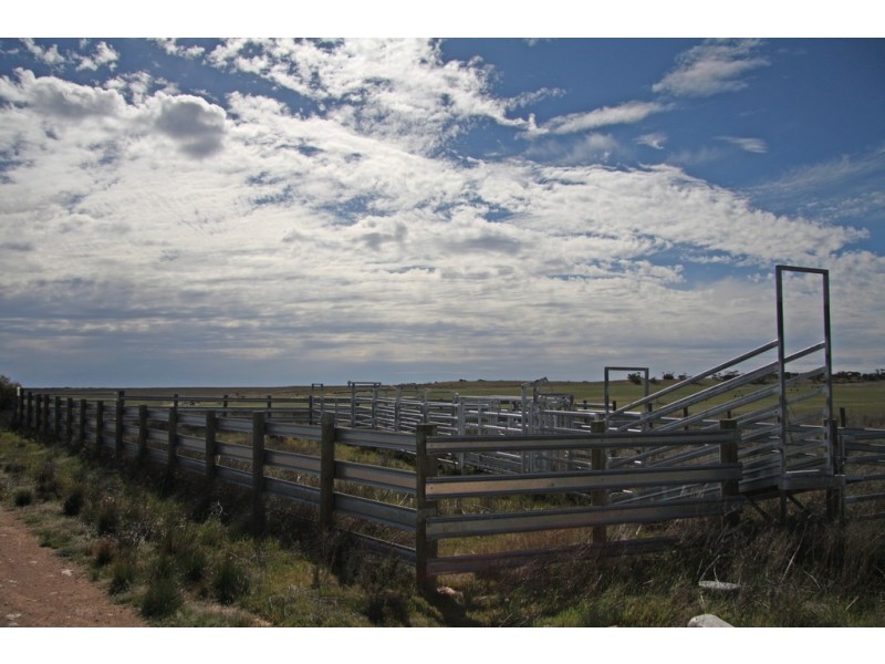 Section 2 Hundred of Allen, Caliph SA 5310