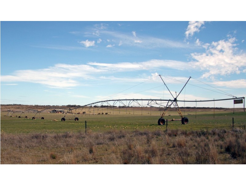 Section 2 Hundred of Allen, Caliph SA 5310