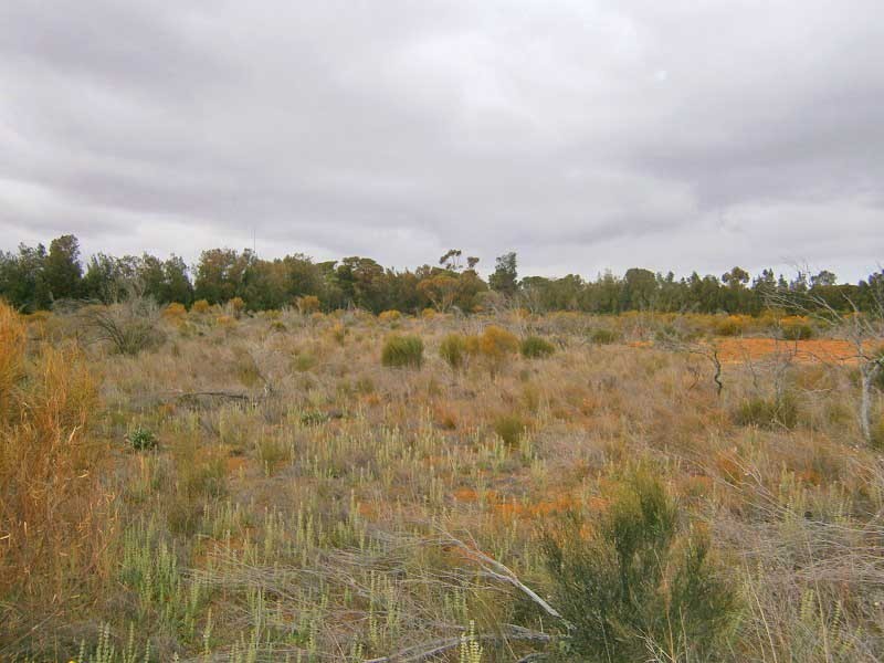 Lot 55 Playford Road, Sunlands SA 5322