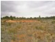 Lot 55 Playford Road, Sunlands SA 5322