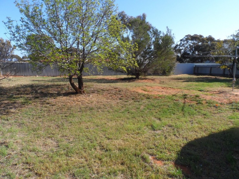 98 Drabsch Street, Loxton SA 5333