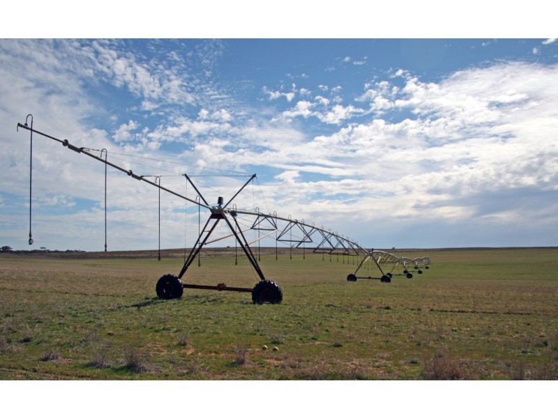 Sections 12, 13 and 151 Hundred of Allen, Caliph SA 5310