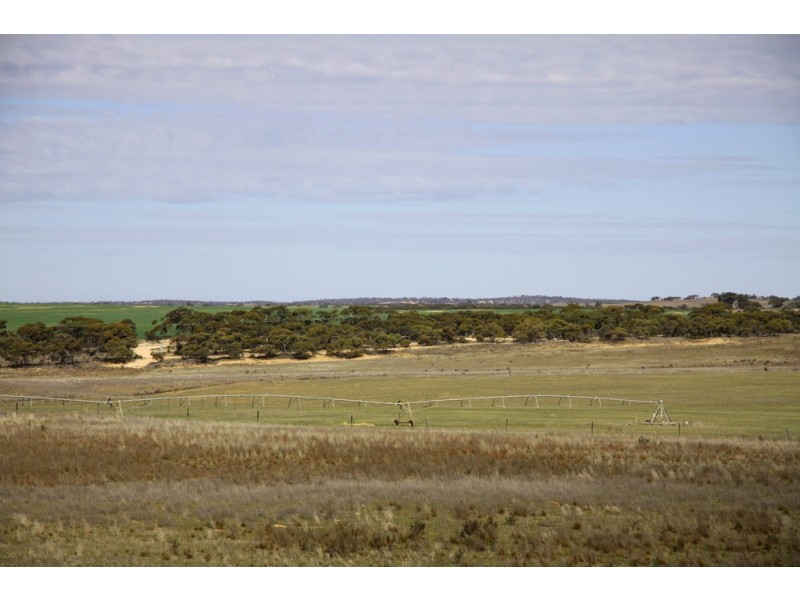 Sections 12, 13 and 151 Hundred of Allen, Caliph SA 5310