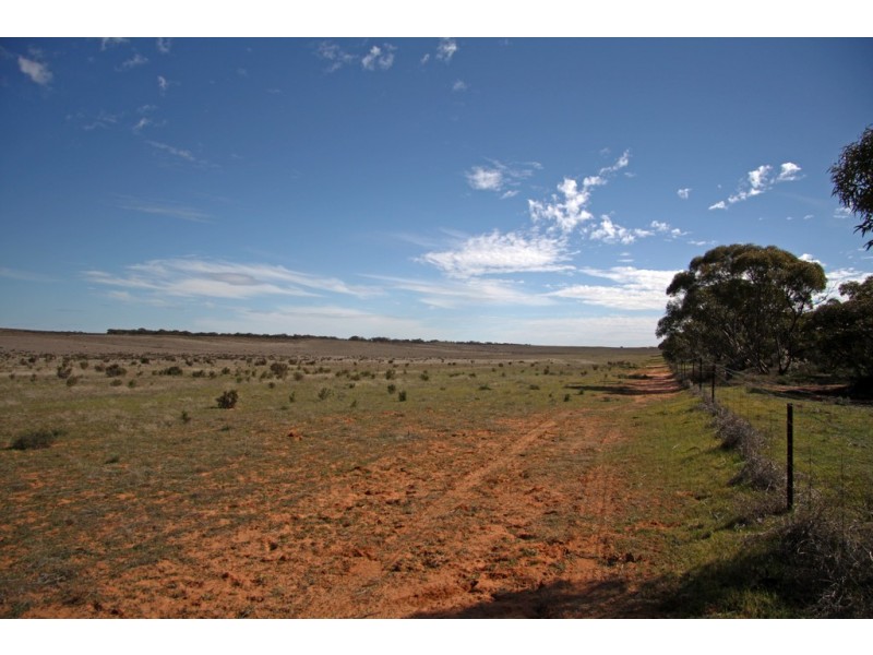 Sections 12, 13 and 151 Hundred of Allen, Caliph SA 5310