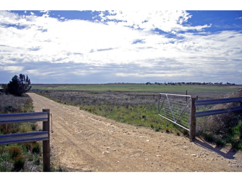 Sections 12, 13 and 151 Hundred of Allen, Caliph SA 5310