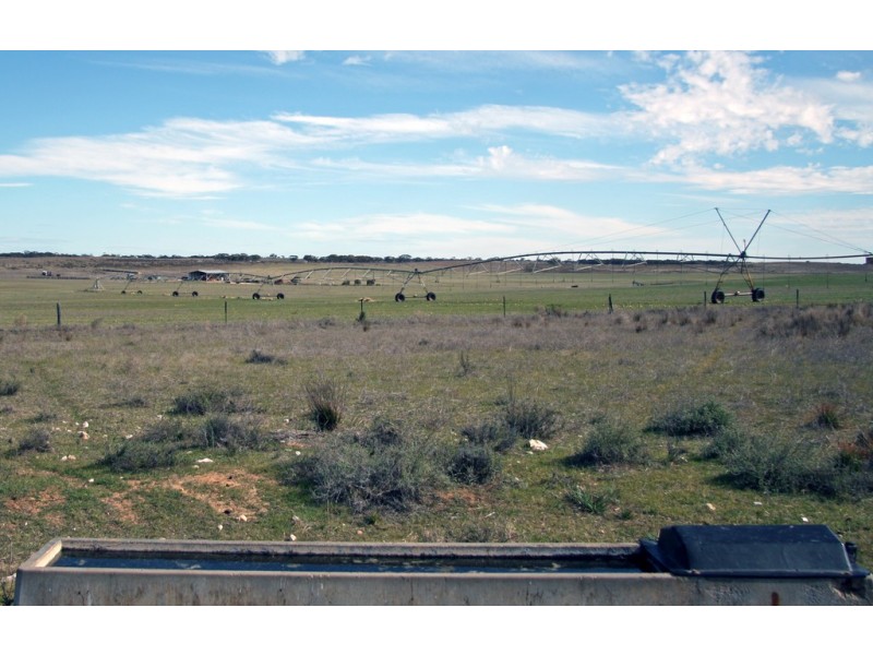 Sections 12, 13 and 151 Hundred of Allen, Caliph SA 5310