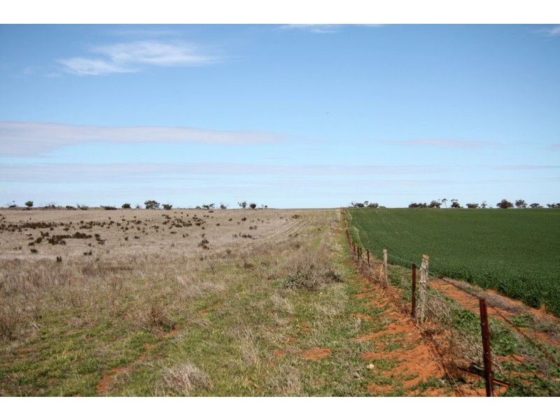 Sections 12, 13 and 151 Hundred of Allen, Caliph SA 5310