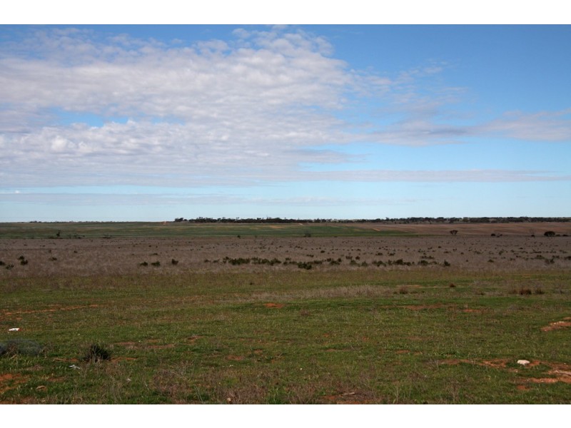 Sections 12, 13 and 151 Hundred of Allen, Caliph SA 5310