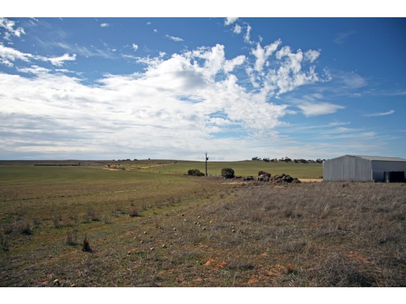 Sections 12, 13 and 151 Hundred of Allen, Caliph SA 5310