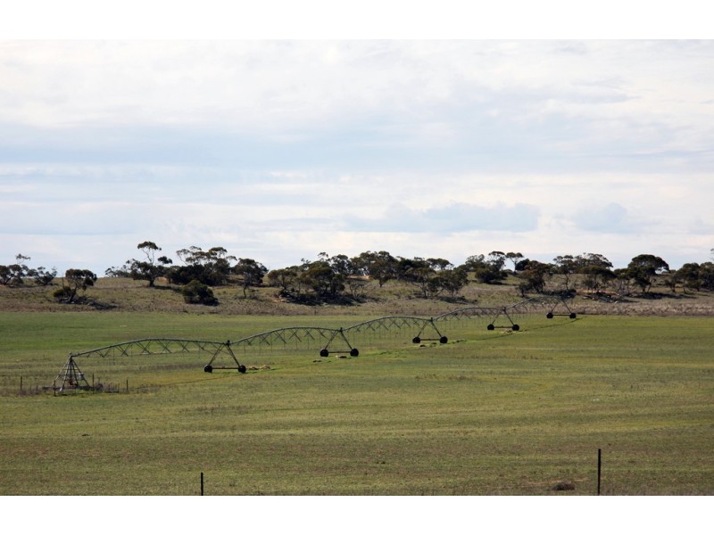 Sections 12, 13 and 151 Hundred of Allen, Caliph SA 5310