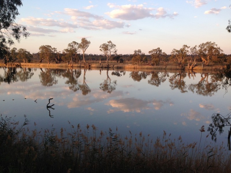 29 Burrows Road, Waikerie SA 5330