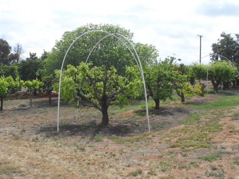 61 Gurney Road, Loxton SA 5333