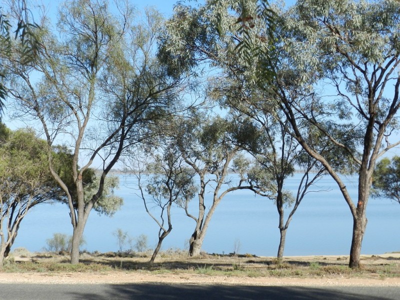 20 Queen Elizabeth Drive, Barmera SA 5345