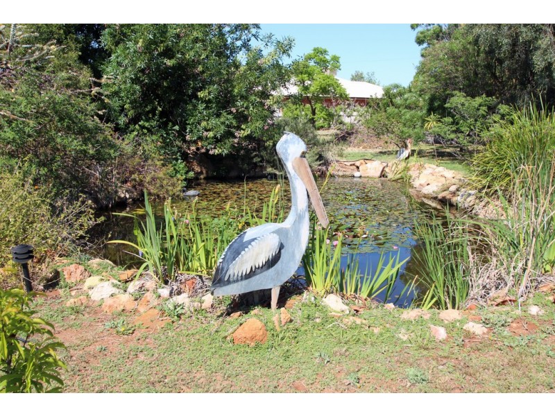 175 Chowilla Street, Renmark SA 5341