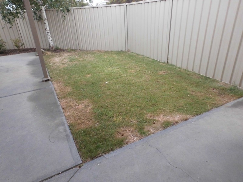 6A Railway Terrace, Renmark SA 5341