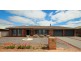 20 Korinthos Street, Renmark SA 5341