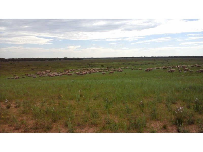 Various Secs Hundreds of Mantung, Mercunda and Bakara, Mercunda SA 5308