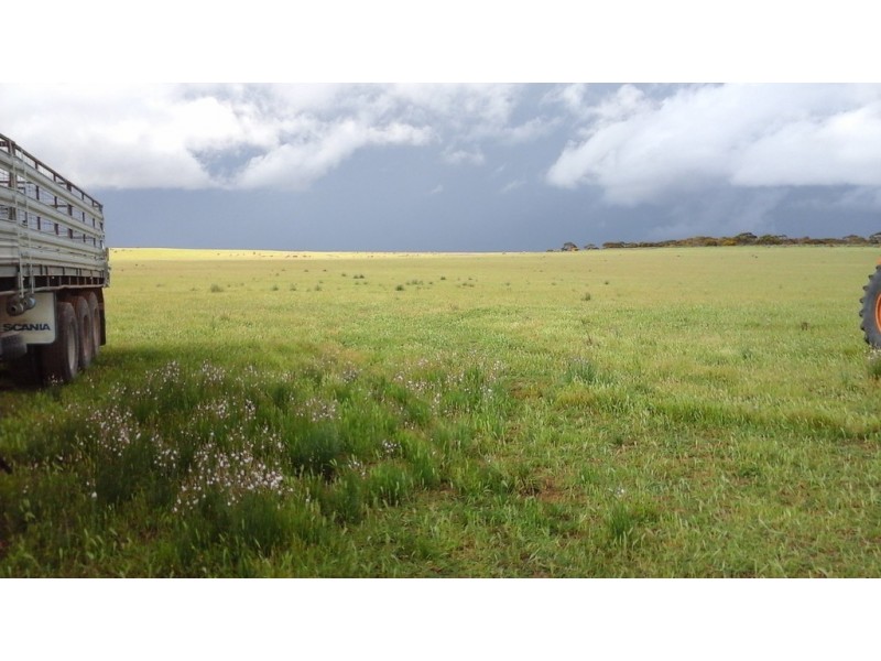 Various Secs Hundreds of Mantung, Mercunda and Bakara, Mercunda SA 5308