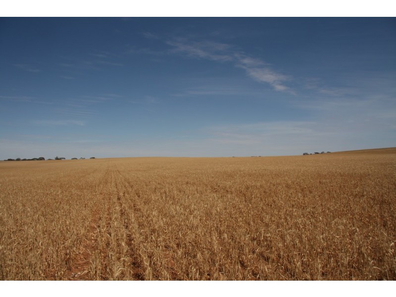 Various Secs Hundreds of Mantung, Mercunda and Bakara, Mercunda SA 5308