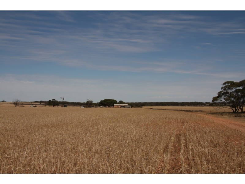 Various Secs Hundreds of Mantung, Mercunda and Bakara, Mercunda SA 5308