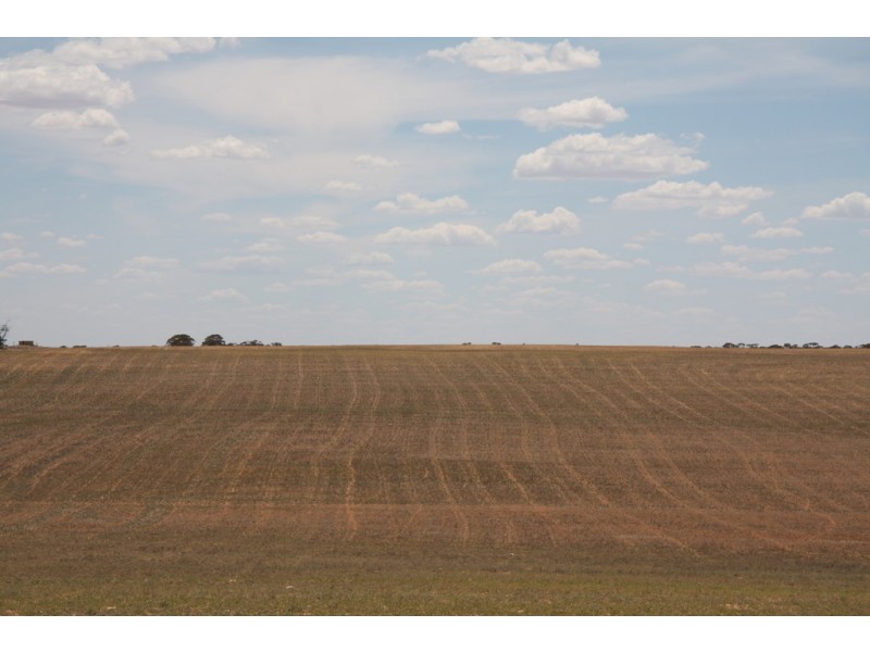 Various Secs Hundreds of Mantung, Mercunda and Bakara, Mercunda SA 5308