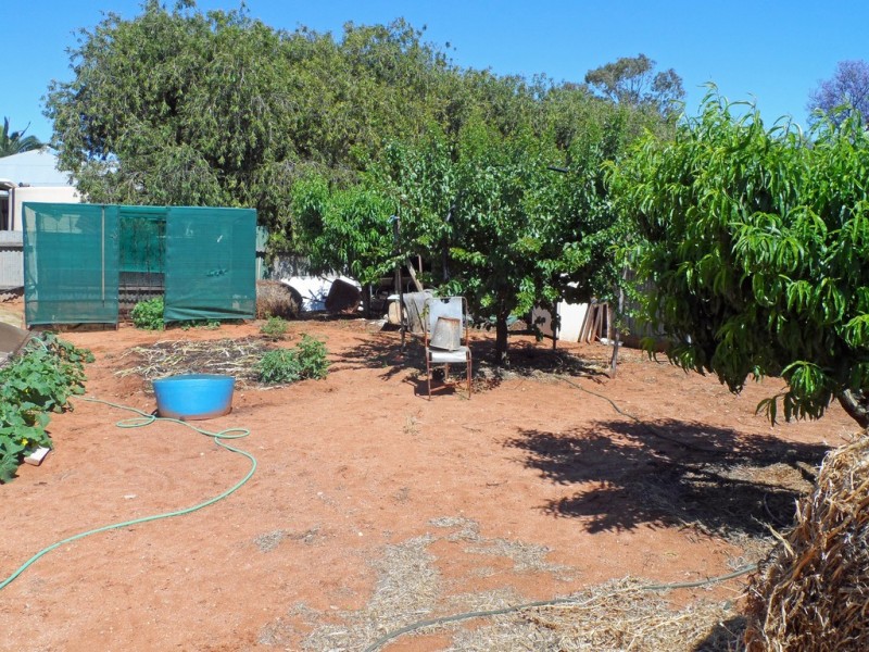 16 Sturt Street, Loxton SA 5333