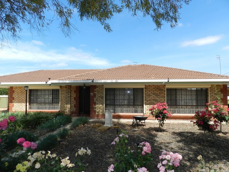 12 Beames Road, Via Berri, Lyrup SA 5343