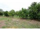 46 Twenty Fourth Street, Renmark SA 5341